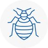 Bed Bug Extermination In Houghton Regis