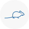Mice Exterminators In Houghton Regis